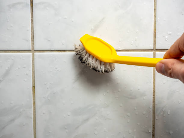 Best Fast Mold Removal  in Spindale, NC