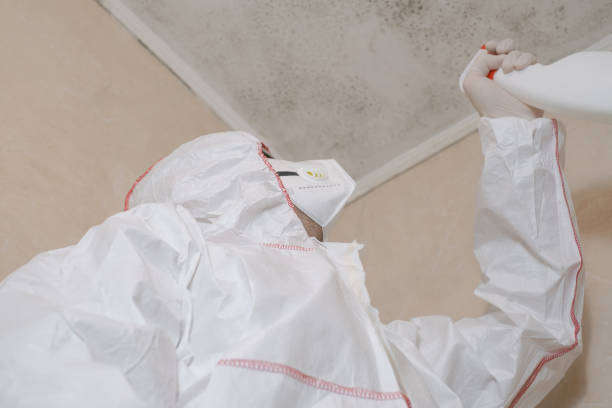 Best Toxic Mold Removal  in Spindale, NC